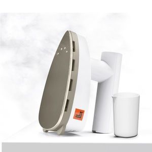 Dual voltage travel iron